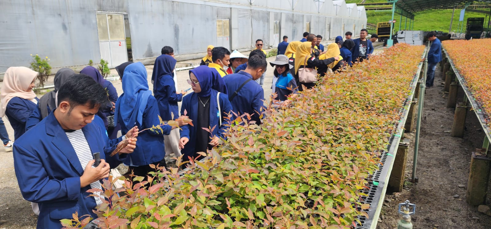 Mahasiswa UGN Padangsidimpuan diajak melihat Central Nursery yaitu, pusat pembibitan tanaman yang menjadi salah satu tulang punggung keberlanjutan bahan baku TPL