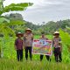 Dukung Ketahanan Pangan, Kapolsek Sipirok Tinjau Lahan Jagung Binaan