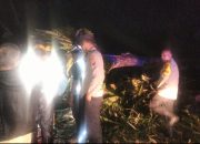 Polsek Batang Toru Cepat Tanggap Tangani Pohon Tumbang di Jalan