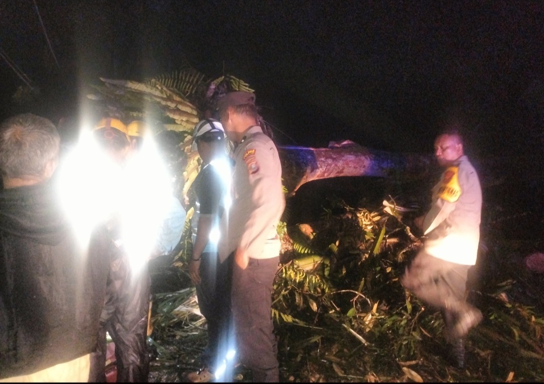Personel Polsek Batang Toru saat upaya evakuasi Pohon tumbang di badan jalan yang mengakibatkan kemacetan arus lalu lintas