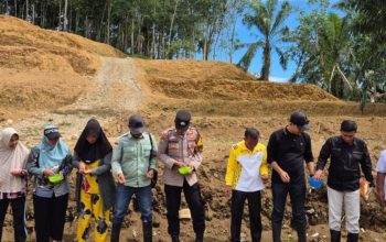 Bhabinkamtibmas Polsek Batang Toru, Brigpol Wendi Pramono, turun langsung menanam jagung di lahan seluas lebih kurang 1 Hektare milik masyarakat sebagai upaya mendukung kemandirian pangan di Kabupaten Tapanuli Selatan