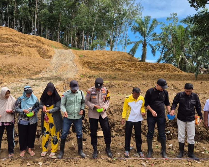 Bhabinkamtibmas Polsek Batang Toru, Brigpol Wendi Pramono, turun langsung menanam jagung di lahan seluas lebih kurang 1 Hektare milik masyarakat sebagai upaya mendukung kemandirian pangan di Kabupaten Tapanuli Selatan