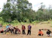 Bersama dinas terkait dan masyarakat, Bhabinkamtibmas Polsek Batang Toru, Aipda Zedda Zega, melaksanakan penanaman jagung di lahan seluas lebih kurang 1 Hektare di Desa Gapuk Tua sebagai wujud dukungan terhadap program Ketapang nasional