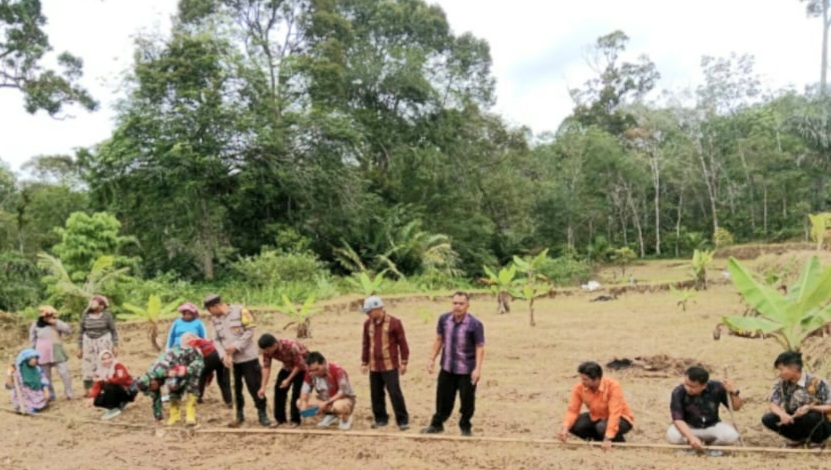 Bersama dinas terkait dan masyarakat, Bhabinkamtibmas Polsek Batang Toru, Aipda Zedda Zega, melaksanakan penanaman jagung di lahan seluas lebih kurang 1 Hektare di Desa Gapuk Tua sebagai wujud dukungan terhadap program Ketapang nasional