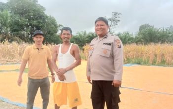 Kanit Binmas Polsek Batang Toru, Aipda Triono, saat meninjau lahan jagung di Desa Sumuran milik warga atas nama, Trisno