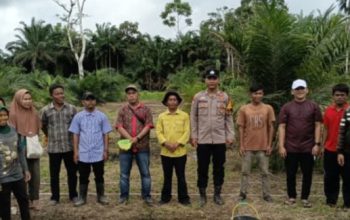 Bersama dinas terkait dan masyarakat, Bhabinkamtibmas Polsek Batang Toru, Brigpol Wendi Pramono, melaksanakan kegiatan penanaman jagung di Desa Simataniari, Kecamatan Angkola Sangkunur
