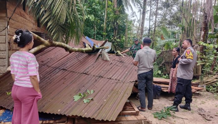 Rumah Warga Tertimpa Pohon, Kapolsek Batang Toru Ungkapkan Rasa Prihatin