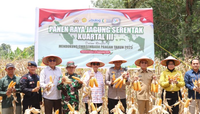 Panen Raya Jagung Serentak Kuartal III, Kapolres Tapsel Tekankan Polri Ikhlas Mengabdi untuk Rakyat