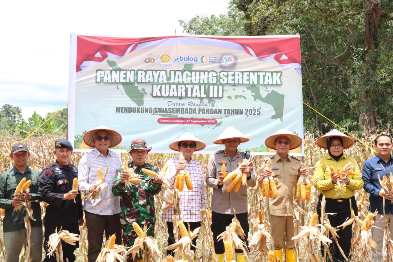 Kapolres Tapsel AKBP Yon Edi Winara, Bupati Gus Irawan Pasaribu, Ketua DPRD Rahmat Nasution, bersama unsur Forkopimda saat panen raya jagung serentak Kuartal III dalam rangka mendukung program swasembada pangan nasional tahun 2025 di Dusun Aek Sirara, Desa Sumuran, Kecamatan Batang Toru