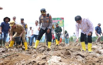 Kapolres Tapsel AKBP Yon Edi Winara, beserta Bupati Gus Irawan Pasaribu, Ketua DPRD Rahmat Nasution, dan unsur Forkopimda saat menanam jagung serentak bersama Kelompok Tani Mulia Bakti di Afdeling II PTPN IV Perkebunan Hapesong, Desa Sigala-gala, Kecamatan Batang Toru