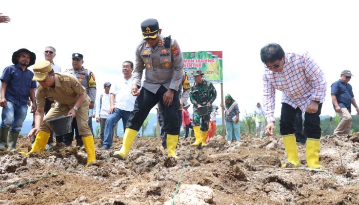 Kapolres Tapsel Bina Kelompok Tani di Batang Toru: Kelola 8 Hektar Tanaman Jagung