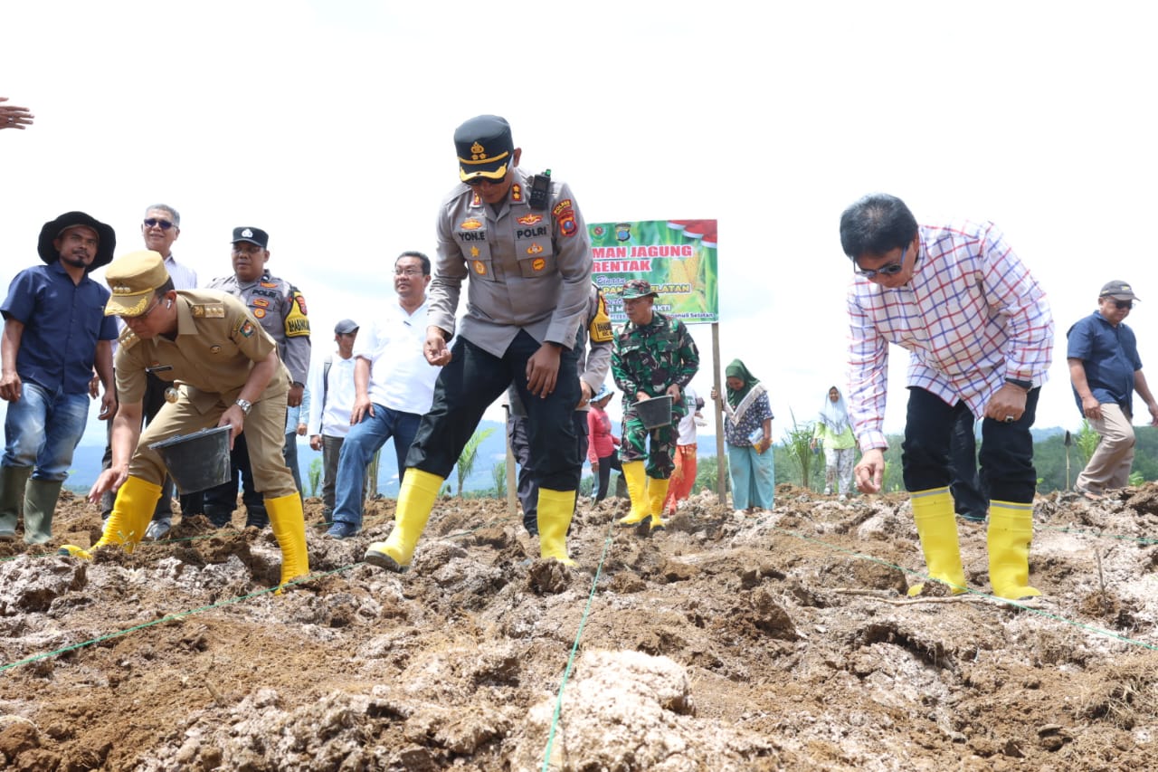 Kapolres Tapsel AKBP Yon Edi Winara, beserta Bupati Gus Irawan Pasaribu, Ketua DPRD Rahmat Nasution, dan unsur Forkopimda saat menanam jagung serentak bersama Kelompok Tani Mulia Bakti di Afdeling II PTPN IV Perkebunan Hapesong, Desa Sigala-gala, Kecamatan Batang Toru