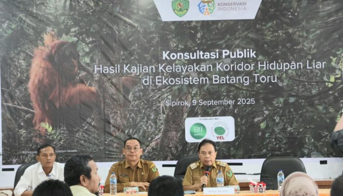 Lindungi Orangutan Tapanuli, Pemkab Tapsel Dorong Pembangunan Koridor Satwa Batang Toru