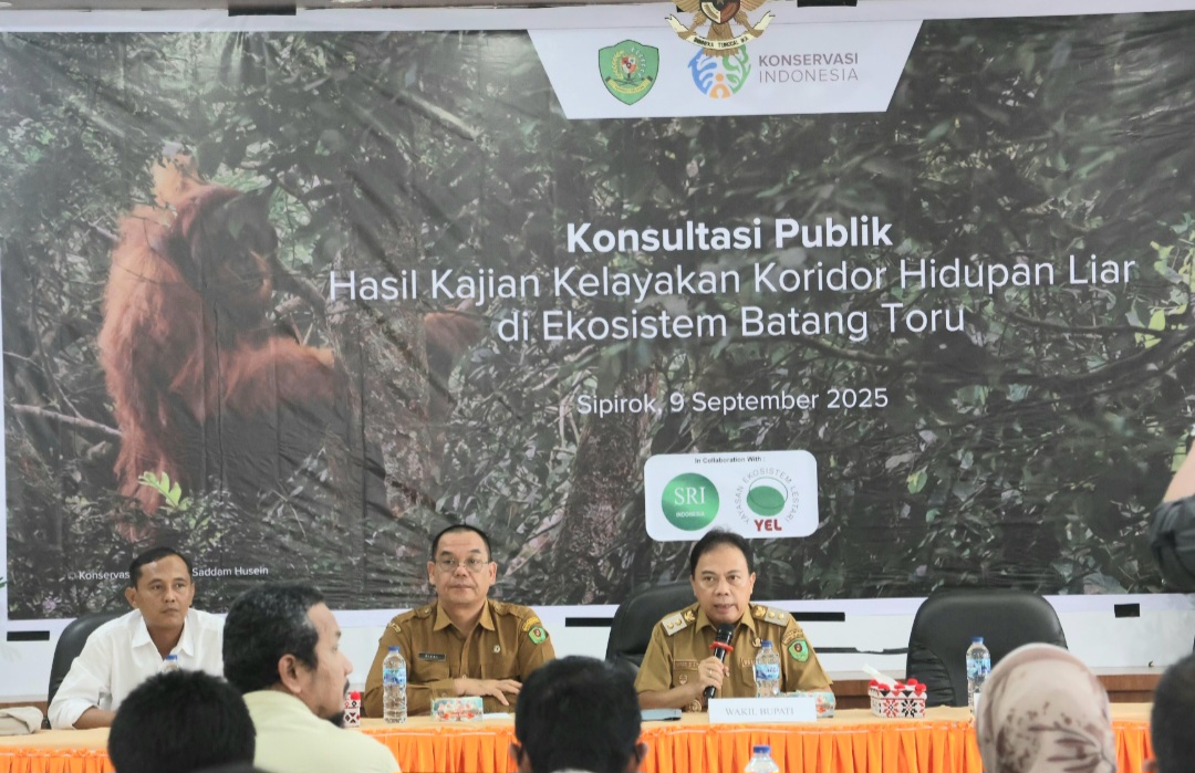 Wabup Tapsel, Jafar Syahbuddin Ritonga, saat memberi sambutan dalam agenda konsultasi publik hasil studi kelayakan koridor ekosistem Batang Toru