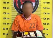 Ditangkap di Pondok Belakang Rumah, Pria di Tapsel Tak Jadi Edarkan Sabu