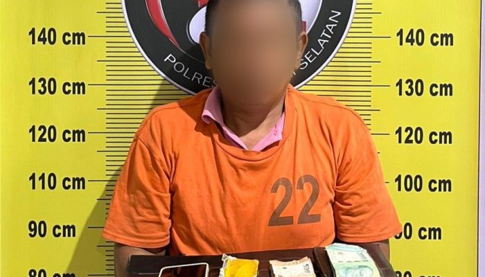 Ditangkap di Pondok Belakang Rumah, Pria di Tapsel Tak Jadi Edarkan Sabu