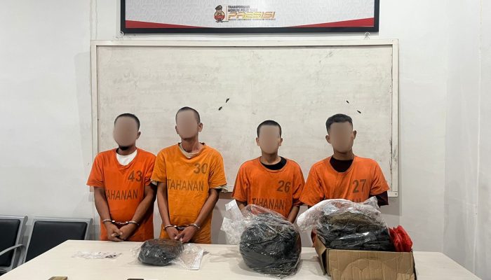 Polres Tapsel Ringkus 4 Pria Jaringan Narkoba Lintas Provinsi: Total 11 Kg Ganja dan 1,34 Gram Sabu Disita