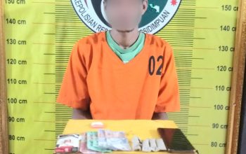 Seorang residivis kasus narkoba berinisial, DSM kembali ditangkap Tim Opsnal Sat Resnarkoba Polres Padangsidimpuan usai kedapatan membawa narkotika jenis ganja