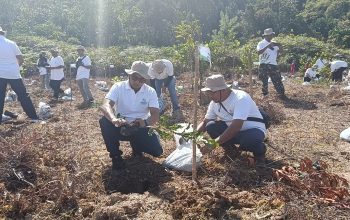 PLN Nusantara Power Unit Pembangkitan (UP) Pandan membuat kawasan PLTA Sipansihaporas semakin asri dengan aksi penanaman pohon