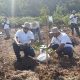 PLN Nusantara Power Unit Pembangkitan (UP) Pandan membuat kawasan PLTA Sipansihaporas semakin asri dengan aksi penanaman pohon