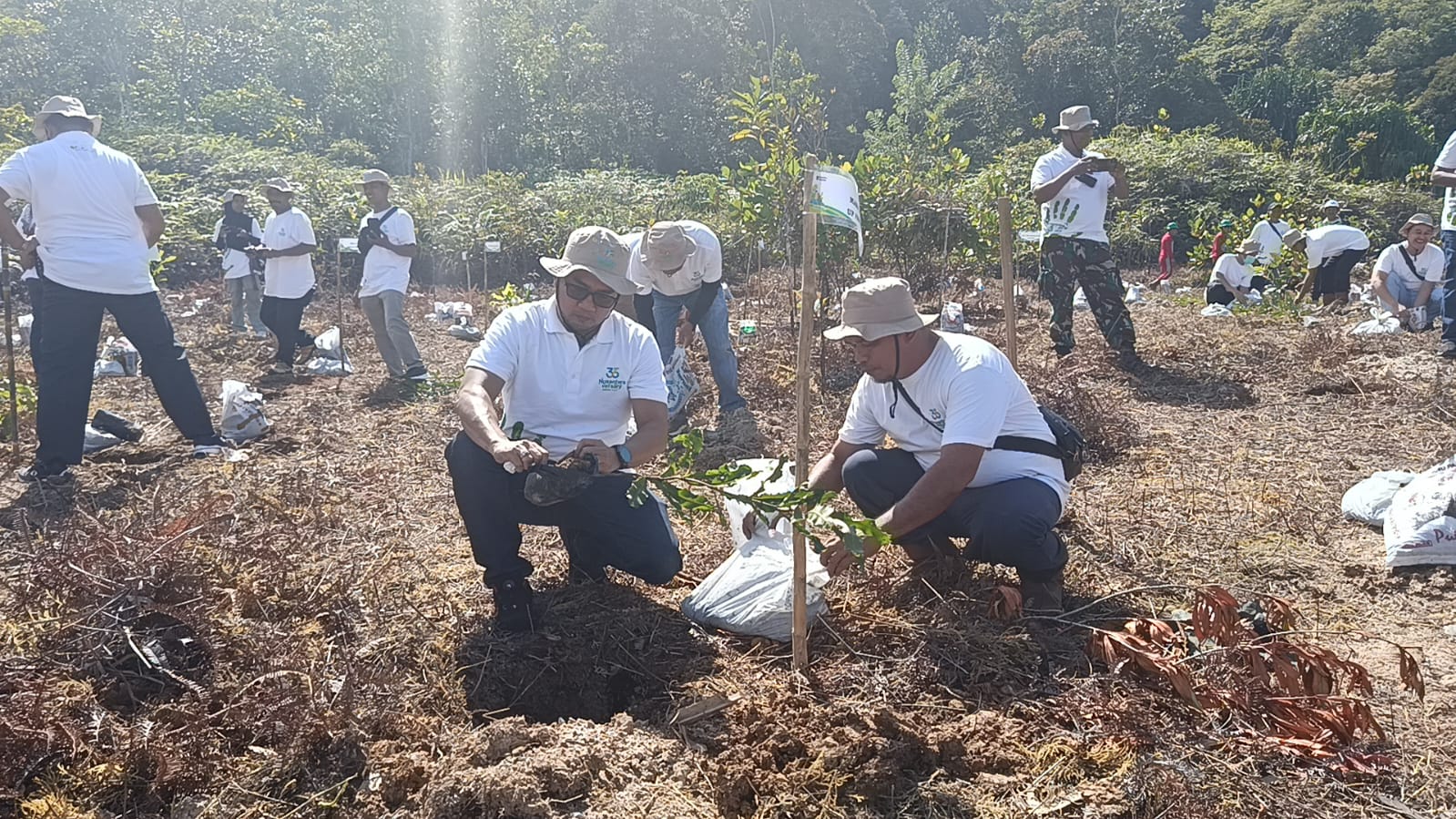 PLN Nusantara Power Unit Pembangkitan (UP) Pandan membuat kawasan PLTA Sipansihaporas semakin asri dengan aksi penanaman pohon