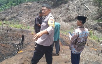 Bhabinkamtibmas Polsek Padang Bolak, Aipda Hilman S Harahap, mendampingi pengecekan batas tanah kebun saat proses mediasi antar-warga yang sempat berselisih