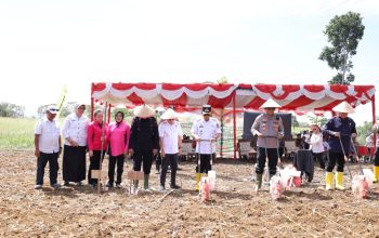 Bupati Tapsel Gus Irawan Pasaribu bersama Kapolres AKBP Yon Edi Winara, dan unsur Forkopimda lainnya kompak menanam jagung kuartal IV secara serentak se-Indonesia