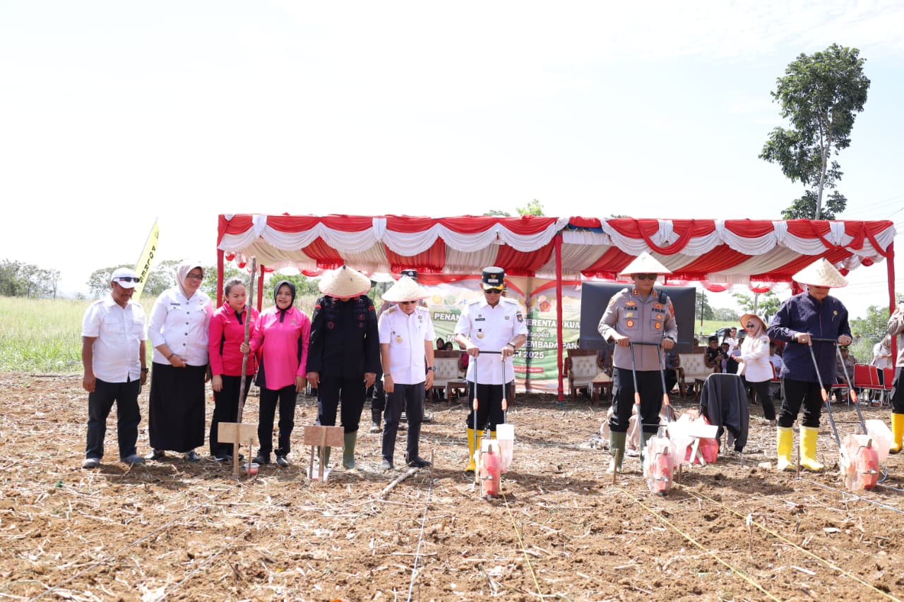 Bupati Tapsel Gus Irawan Pasaribu bersama Kapolres AKBP Yon Edi Winara, dan unsur Forkopimda lainnya kompak menanam jagung kuartal IV secara serentak se-Indonesia