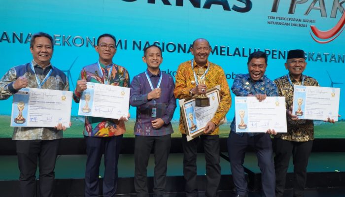 Bikin Bangga! Tapsel Raih TPAKD Award 2025 di Jakarta