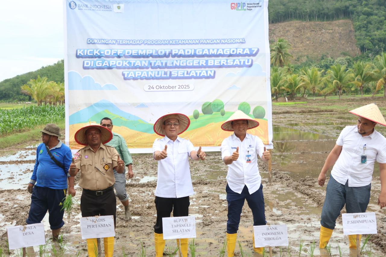 Bupati Tapsel, Gus Irawan Pasaribu, dan lainnya saat melakukan penanaman padi Varietas Gama Gora 7 di Desa Tatengger