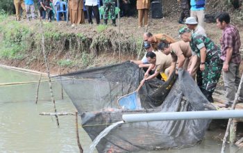 Bupati Tapsel, Gus Irawan Pasaribu, beserta jajaran, saat memanen ikan di Desa Pargarutan Julu, Kecamatan Angkola Timur