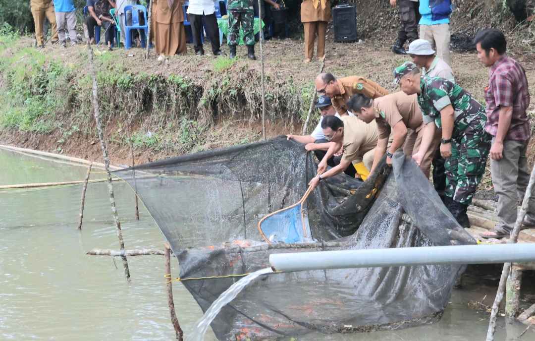Bupati Tapsel, Gus Irawan Pasaribu, beserta jajaran, saat memanen ikan di Desa Pargarutan Julu, Kecamatan Angkola Timur