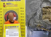 Polres Tapsel Gagalkan Peredaran Ganja Setengah Kg, Pelaku Ditangkap di Parsalakan