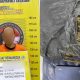 Seorang pria yang memiliki 500 gram atau setengah Kg ganja inisial, TGH usai ditangkap Tim Opsnal Sat Resnarkoba Polres Tapsel