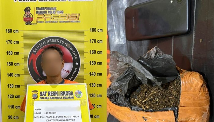Polres Tapsel Tangkap Kurir Ganja 1 Kg di Angkola Barat, Belum Sempat Ditukar Sabu