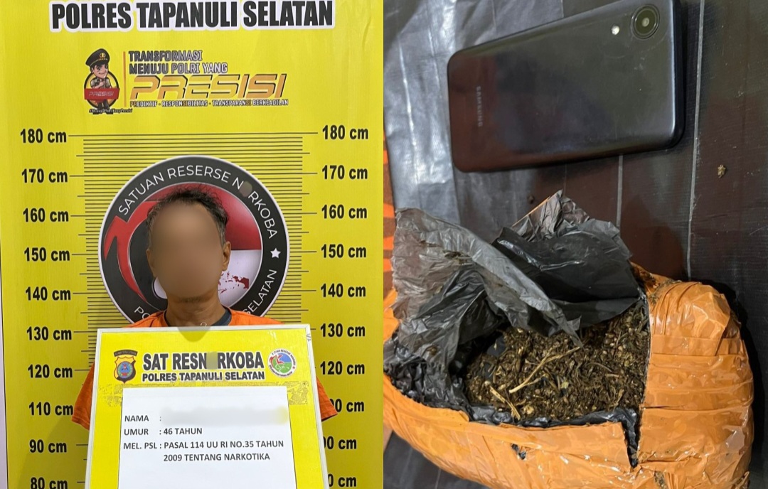 Seorang pria yang diduga menjadi perantara atau kurir narkotika jenis ganja berinisial, BAH usai ditangkap jajaran Sat Resnarkoba Polres Tapsel