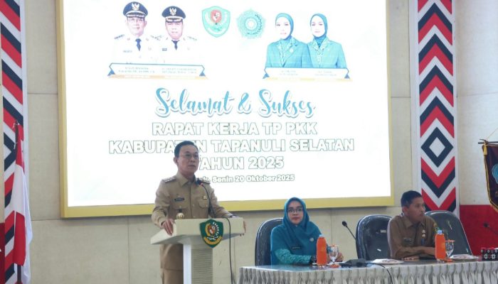 Di Tengah Efisiensi Anggaran, Gus Irawan Dorong Inovasi di Tapsel 