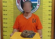 Seorang pria yang bawa narkotika jenis ganja dengan berat bruto 100 Gram berinisial, IAS usai ditangkap Tim Opsnal Sat Resnarkoba Polres Padangsidimpuan