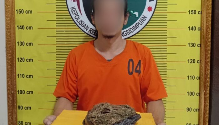 Ke Warung Kelontong Bawa Ganja 100 Gram, Pria di Sidimpuan Ditangkap
