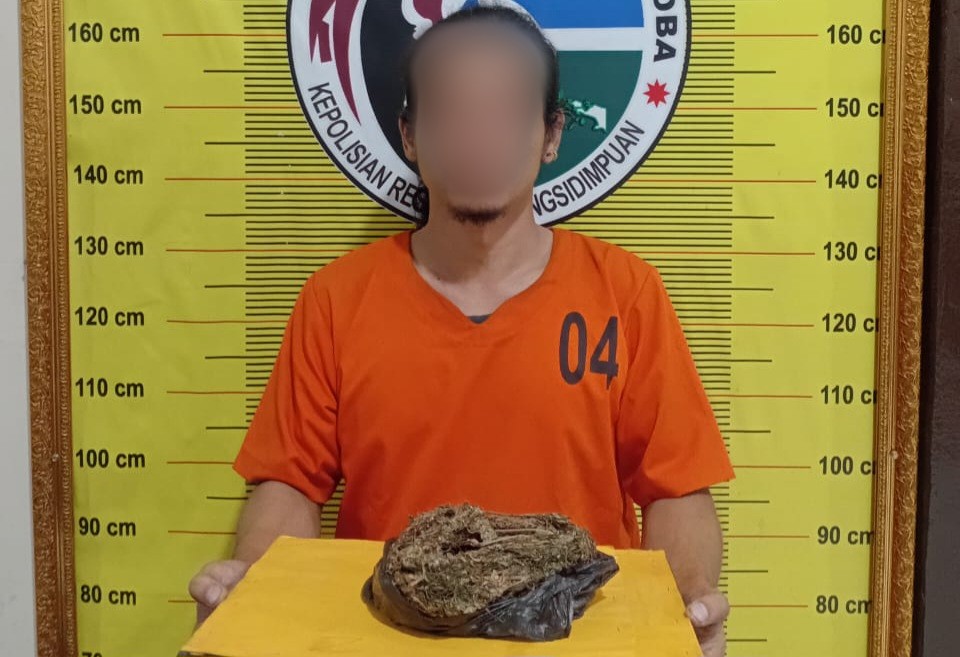 Seorang pria yang bawa narkotika jenis ganja dengan berat bruto 100 Gram berinisial, IAS usai ditangkap Tim Opsnal Sat Resnarkoba Polres Padangsidimpuan