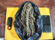 Berikut barang bukti diduga narkotika jenis ganja dengan berat bruta 100 Gram yang berhasil disita Tim Opsnal Sat Resnarkoba Polres Padangsidimpuan dari seorang pria pengangguran berinisial, MRH