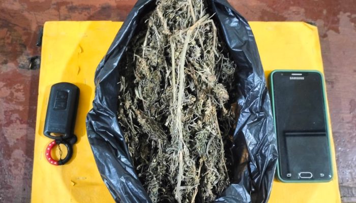 Diiming-imingi Upah Rp200 Ribu, Pria Pengangguran Nekad Jualkan Ganja