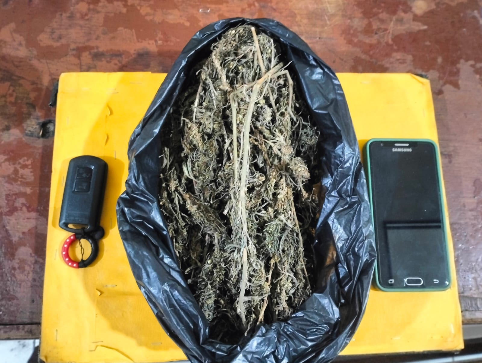Berikut barang bukti diduga narkotika jenis ganja dengan berat bruta 100 Gram yang berhasil disita Tim Opsnal Sat Resnarkoba Polres Padangsidimpuan dari seorang pria pengangguran berinisial, MRH