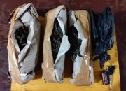 Berikut barang bukti narkotika jenis ganja seberat 300 Gram yang berhasil disita Tim Opsnal Sat Resnarkoba Polres Padangsidimpuan dari seorang residivis berinisial, AHP