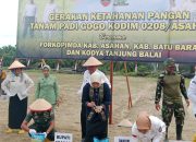Perkebunan PT BSP Tbk Kisaran sediakan lahan 10 Hektare guna mendukung program gerakan ketahanan pangan penanaman padi Gogo Kodim 0208/Asahan