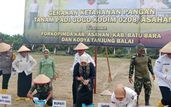 Perkebunan PT BSP Tbk Kisaran sediakan lahan 10 Hektare guna mendukung program gerakan ketahanan pangan penanaman padi Gogo Kodim 0208/Asahan