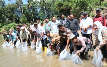 Bupati Tapsel, Gus Irawan Pasaribu, bersama jajaran, saat menabur bibit ikan di kolam Pokdakan Berkah Sitampa Simatoras