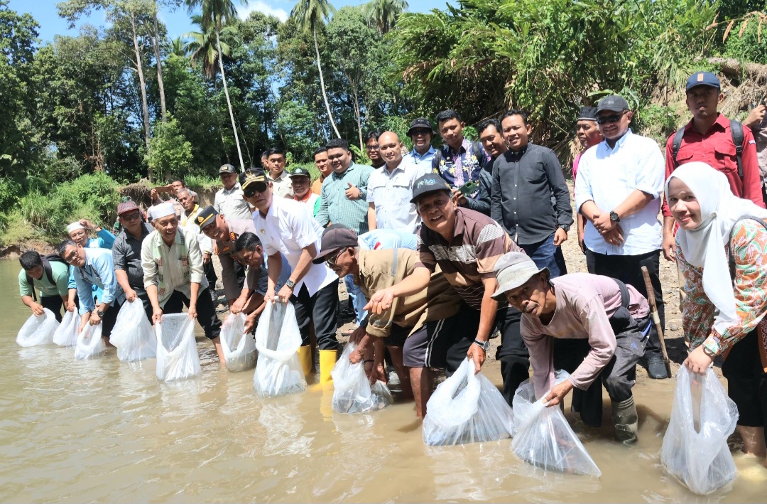Bupati Tapsel, Gus Irawan Pasaribu, bersama jajaran, saat menabur bibit ikan di kolam Pokdakan Berkah Sitampa Simatoras