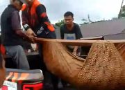 Tim cepat tanggap dari KOTI Mahatidana dan para kader MPC Pemuda Pancasila Tapsel saat mengevakuasi salah satu jenazah korban bencana alam dari timbunan material banjir dan longsor ke mobil taktis Ormas tersebut untuk dibawa ke Puskesmas Batang Toru