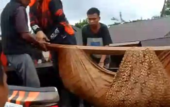 Tim cepat tanggap dari KOTI Mahatidana dan para kader MPC Pemuda Pancasila Tapsel saat mengevakuasi salah satu jenazah korban bencana alam dari timbunan material banjir dan longsor ke mobil taktis Ormas tersebut untuk dibawa ke Puskesmas Batang Toru